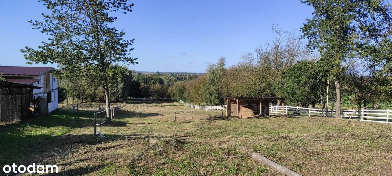 Działka budowlana w Maleniskach (13 ar), warunki zabudowy, media - Pełny obrazek: 1/10