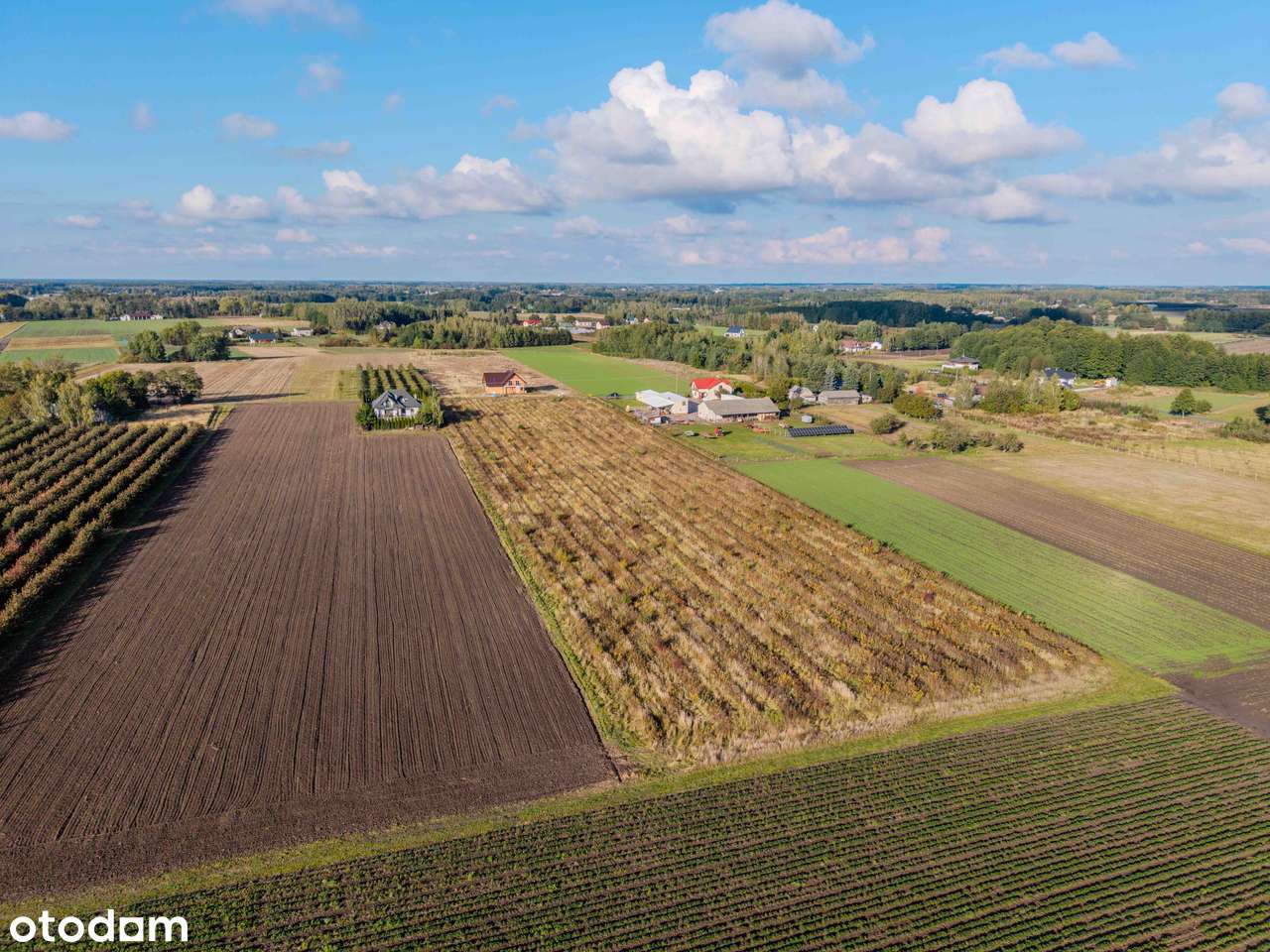 Częstoniew k. Grójca - działka 3189 m², WZ-3