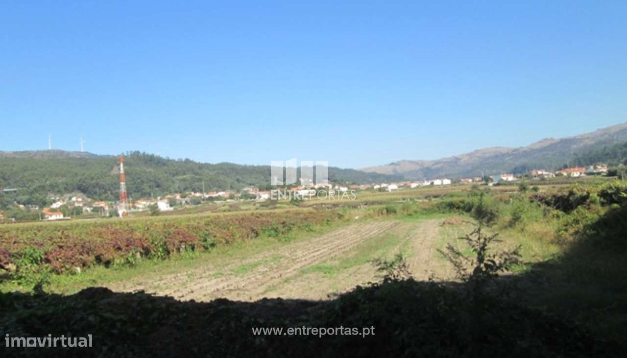 Venda de Terreno agrícola, Perre, Viana do Castelo - Grande imagem: 5/24