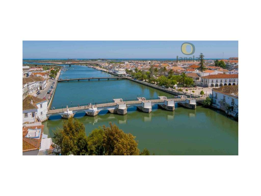 Terreno com 21,8 hectares, com potencial construtivo total de 76.02... - Grande imagem: 2/3