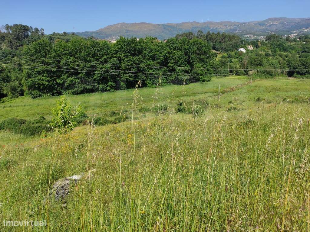 Terreno Rústico Vila Real - Grande imagem: 3/8