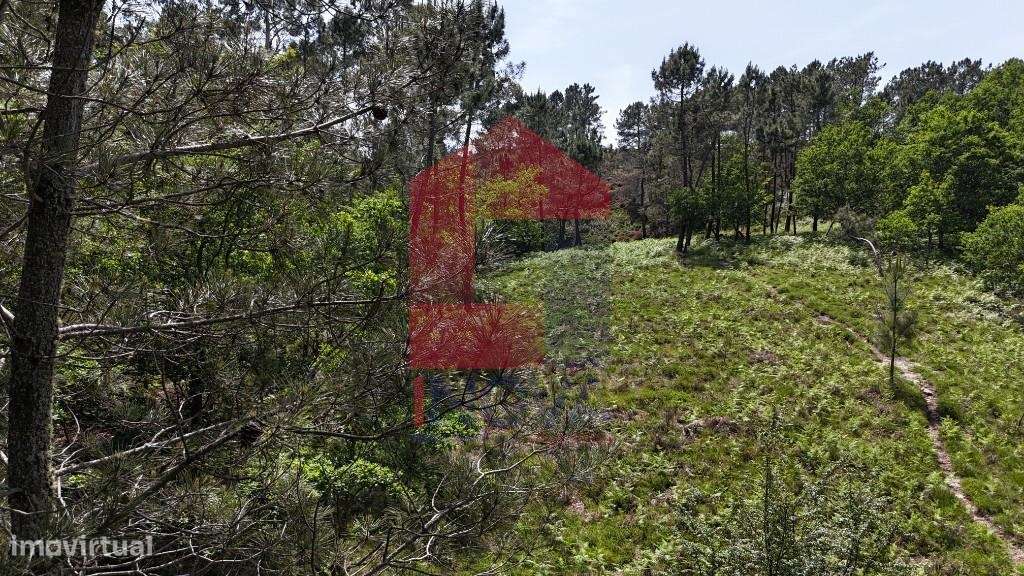 Terreno para projeto Turístico, Gerês-25