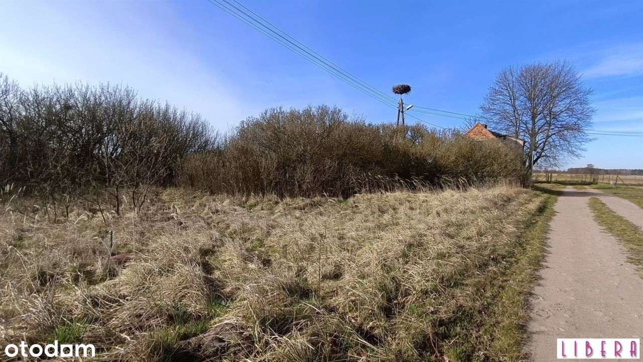 Tylko u nas! Dzialka bydowlana, Januszkowo-4