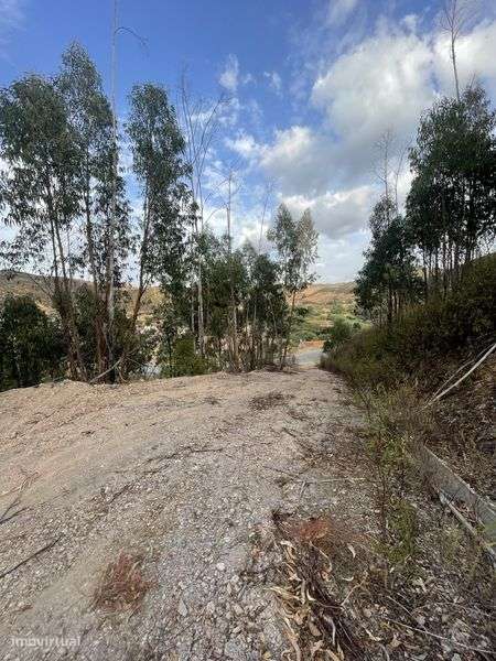 Terreno perto da barragem de odelouca, com largo para casa de madeira - Grande imagem: 4/10