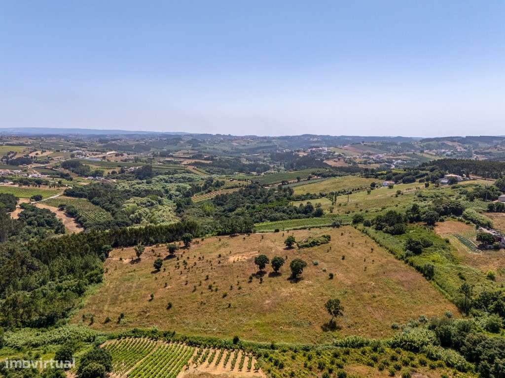 Terreno com ruína em Óbidos - Grande imagem: 2/20