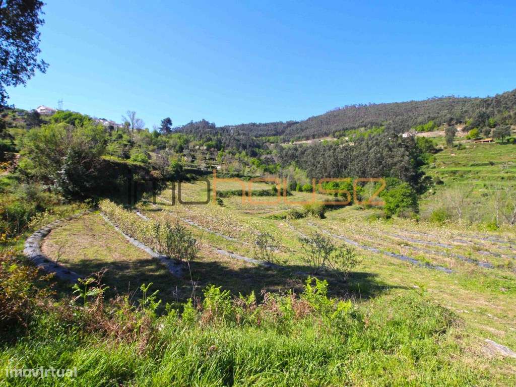 Quinta de 5.6 ha - Varias edificações, ribeiro e vista Douro-19