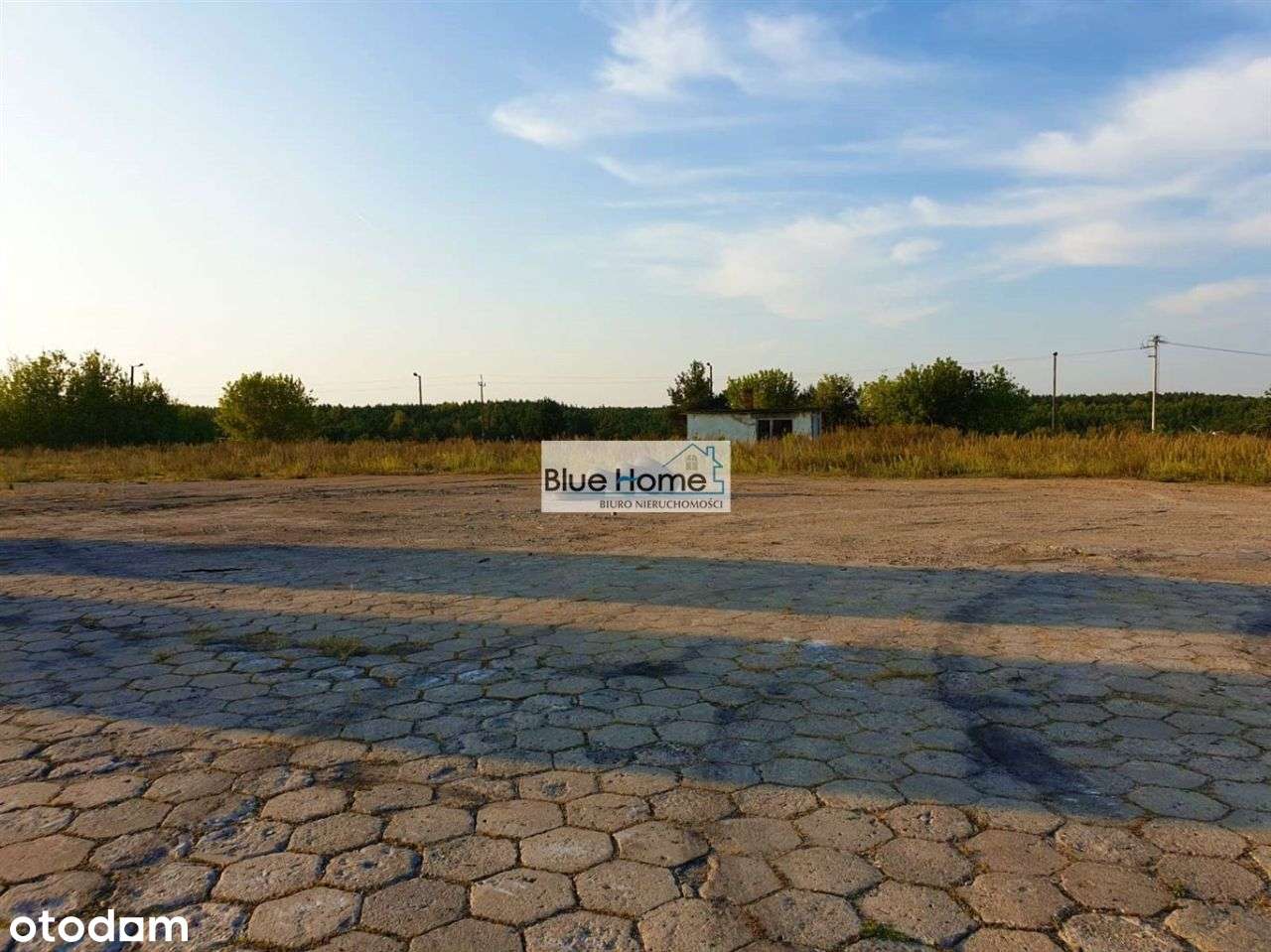 Tylko U Nas Działka Inwestycyjna - Pełny obrazek: 5/6