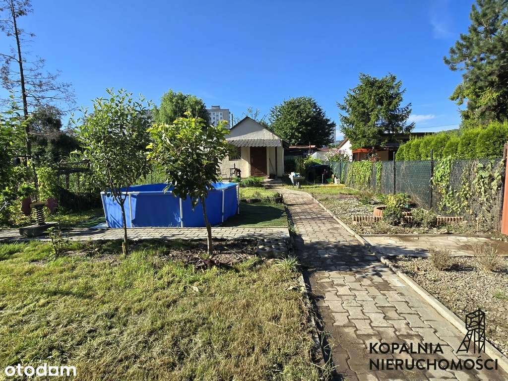 Ogródek działkowy | Obniżka Zimowa | ROD Kaliny - Pełny obrazek: 5/9