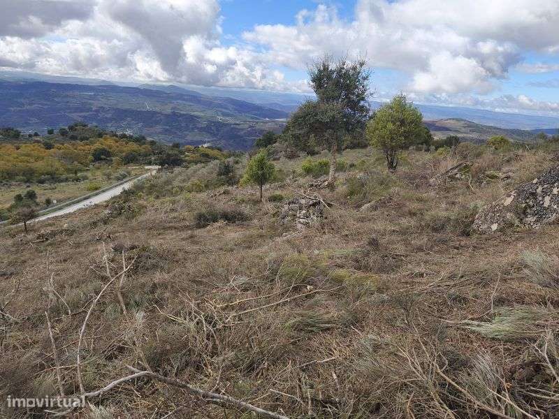 Terreno rustico SAMBADE - Grande imagem: 5/7