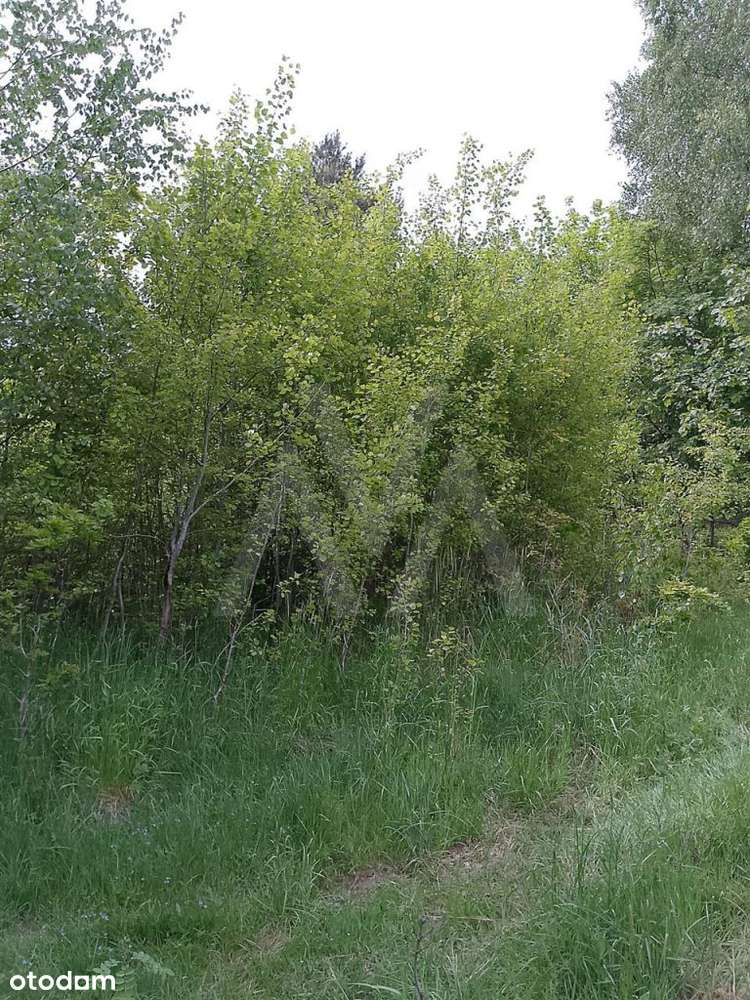 Działka budowlana - Graniczna Wieś - Pełny obrazek: 5/8