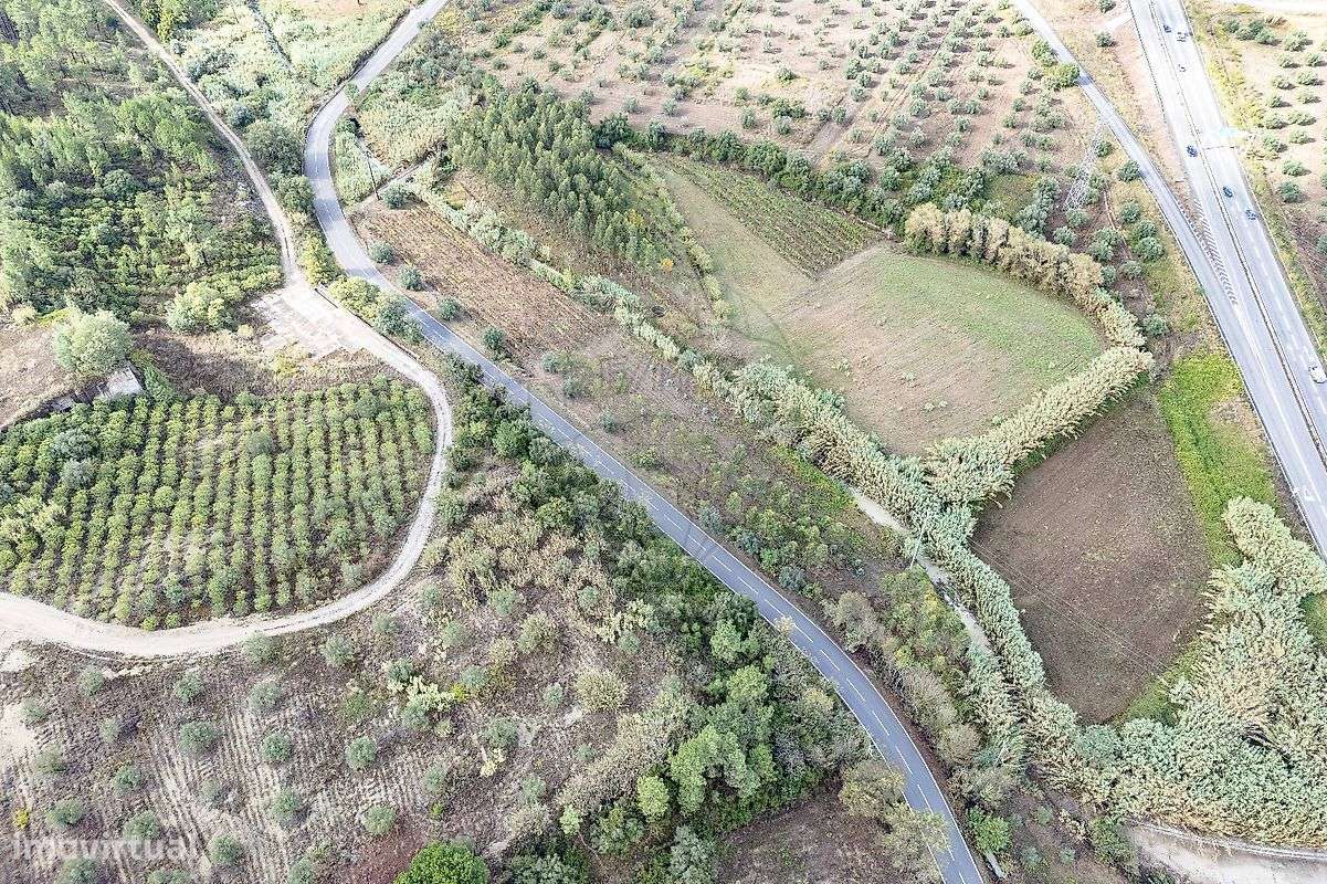 Terreno  para venda - Grande imagem: 4/8