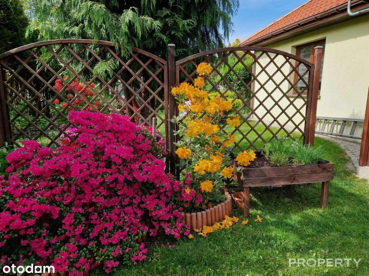 Nowy Sącz Dom 124m2 ul.Nawojowska działka 749 m²-8