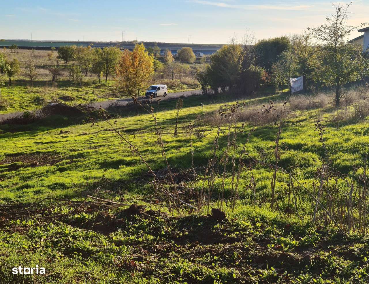 Teren intravilan Branesti, in apropiere de padure si lac-5