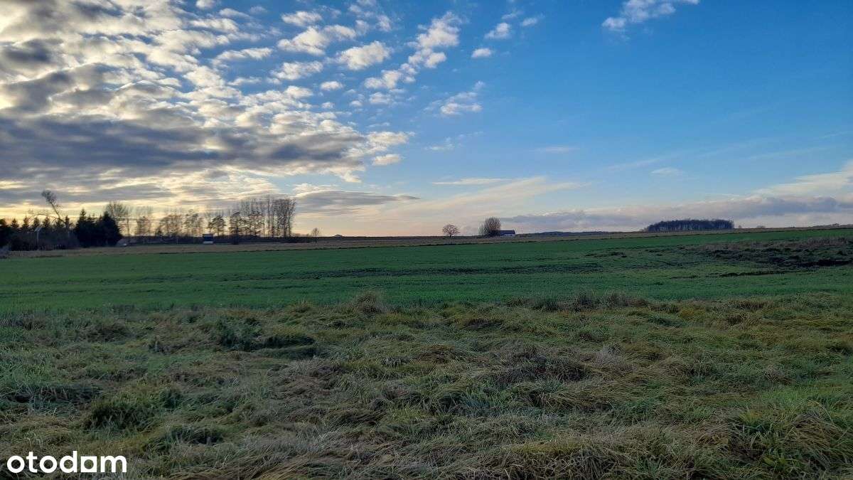 Działki, 10 arów i więcej, Lubin, Krzeczyn-2