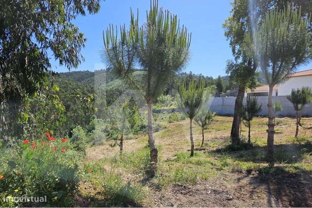 Terreno | Viabilidade de construção | 2.318 m2 | Boa exposição solar - Grande imagem: 4/13