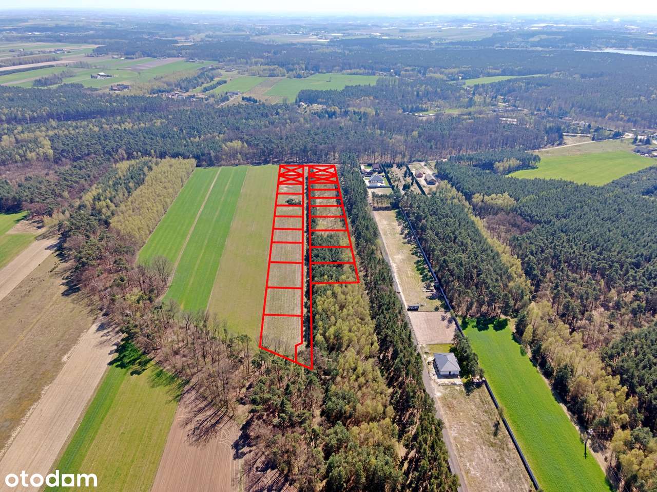 Działki budowlane pod lasem – Młynisko gm. Koźminek-7