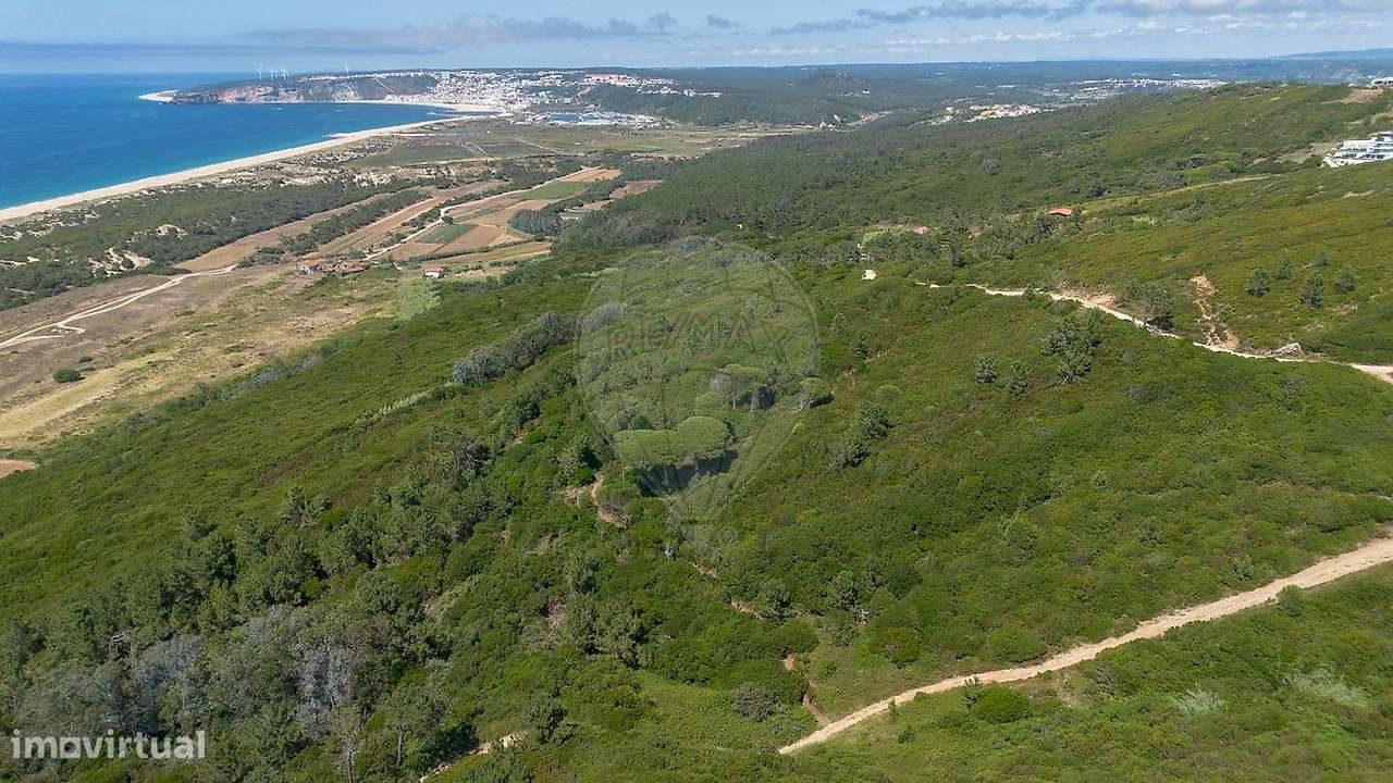 Terreno  para venda-10