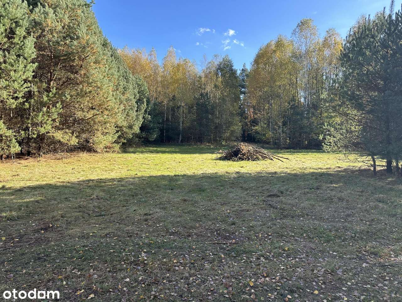 Cicha spokojna okolica Las Czyste powietrze-3