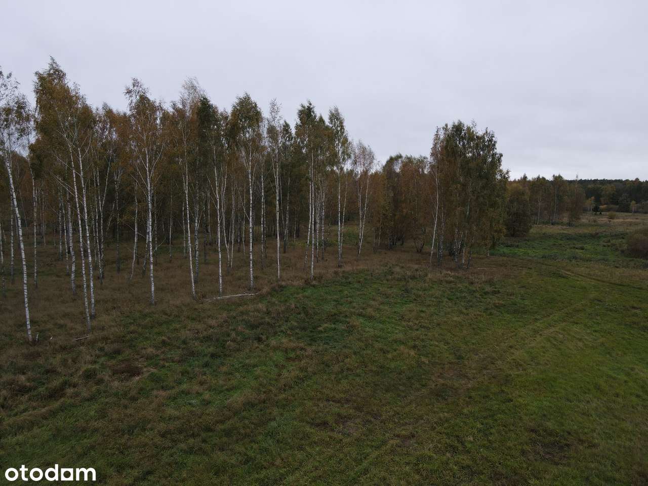 Leśny Zakątek Skorupki - działka pod lasem - SWJM - odlicz VAT 23%-8