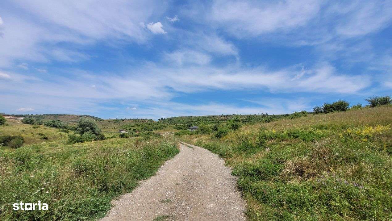 Teren intravilan, 2200 mp, 5.9 metri front, Deusu, Cluj - Imagine principală: 4/4