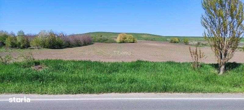 Vând 15000 mp teren - Imagine principală: 4/7