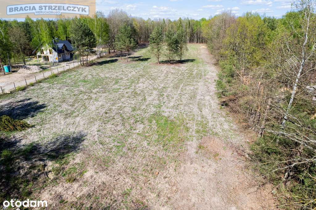 Działka budowlana  Warszawianka 25 km od Warszawy. - Pełny obrazek: 4/4