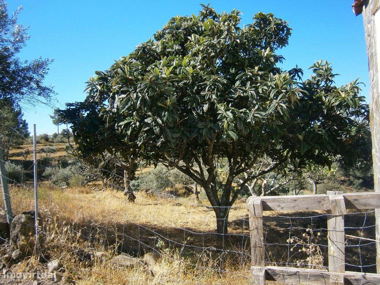 Terreno - Grande imagem: 3/8