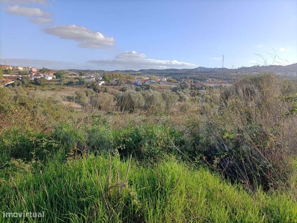 Terreno Misto com 24000- Lourel - Grande imagem: 5/6