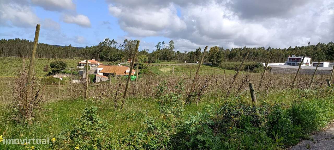Quintinha Valado Frades Nazaré -Leiria - Grande imagem: 5/51