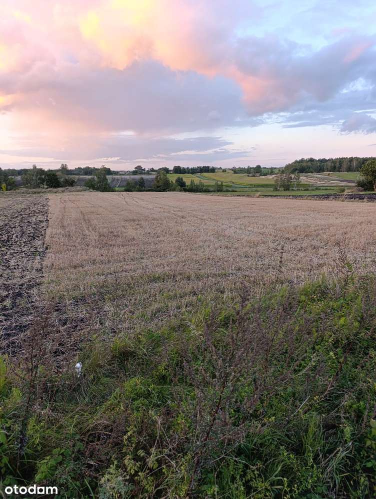 Działka przy Lesie- 7 km od Uzdrowiska BuskoZdrój 30ar lub 60ar! - Pełny obrazek: 4/9