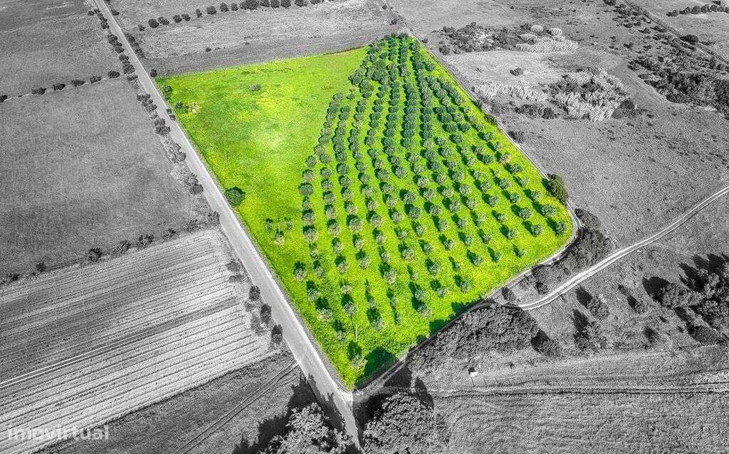 Venda Terreno - Grande imagem: 5/5