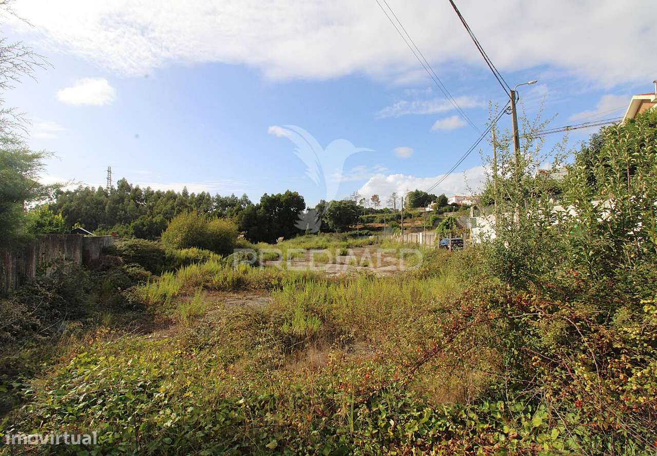 Terreno Urbano  na Encosta do Douro com Vista Rio - Grande imagem: 5/10