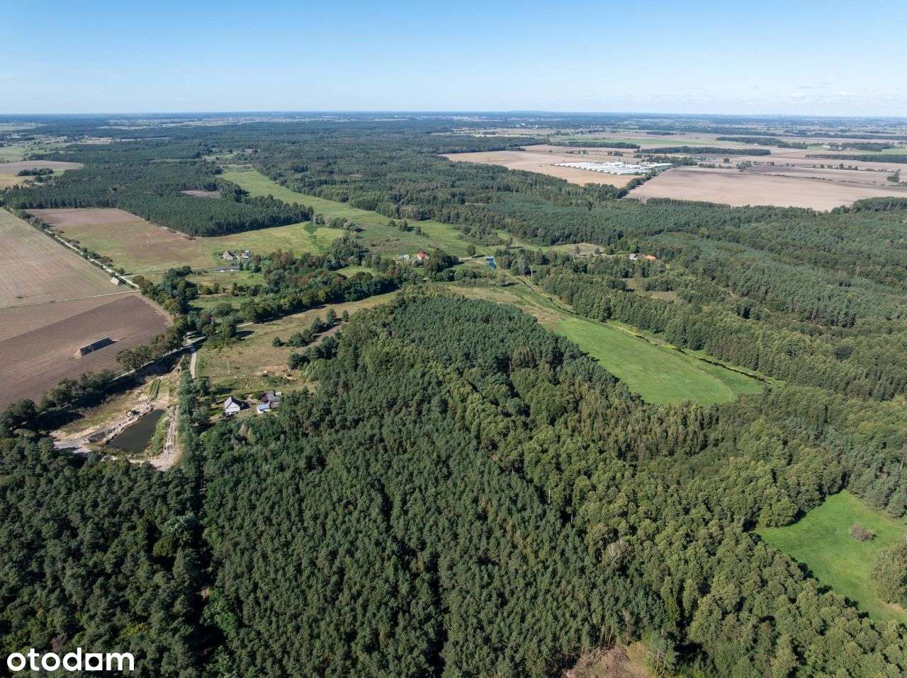 Działka 7,2 ha- przyroda i potencjał inwestycyjny-12