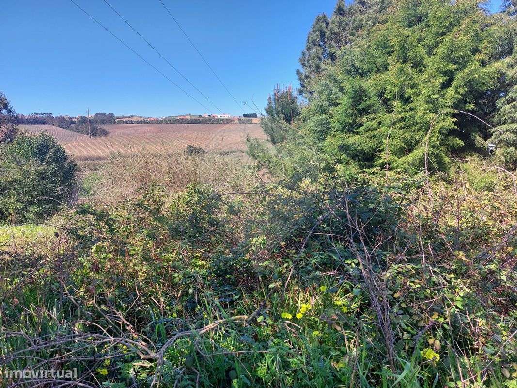 Terreno  para venda - Grande imagem: 4/14