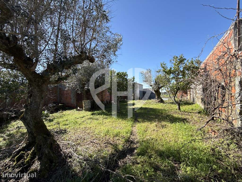 Moradia P/Recuperar Terreno 980m2 // Gáfete - Crato-55