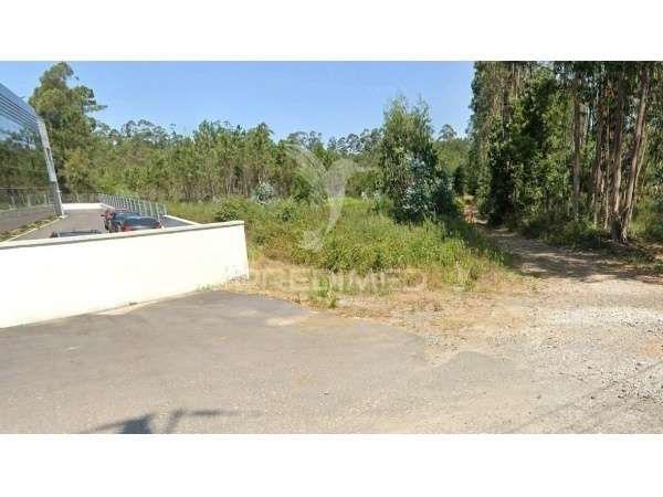 Terreno Urbano, Loureiro, Oliveira de Azemeis - Grande imagem: 2/4