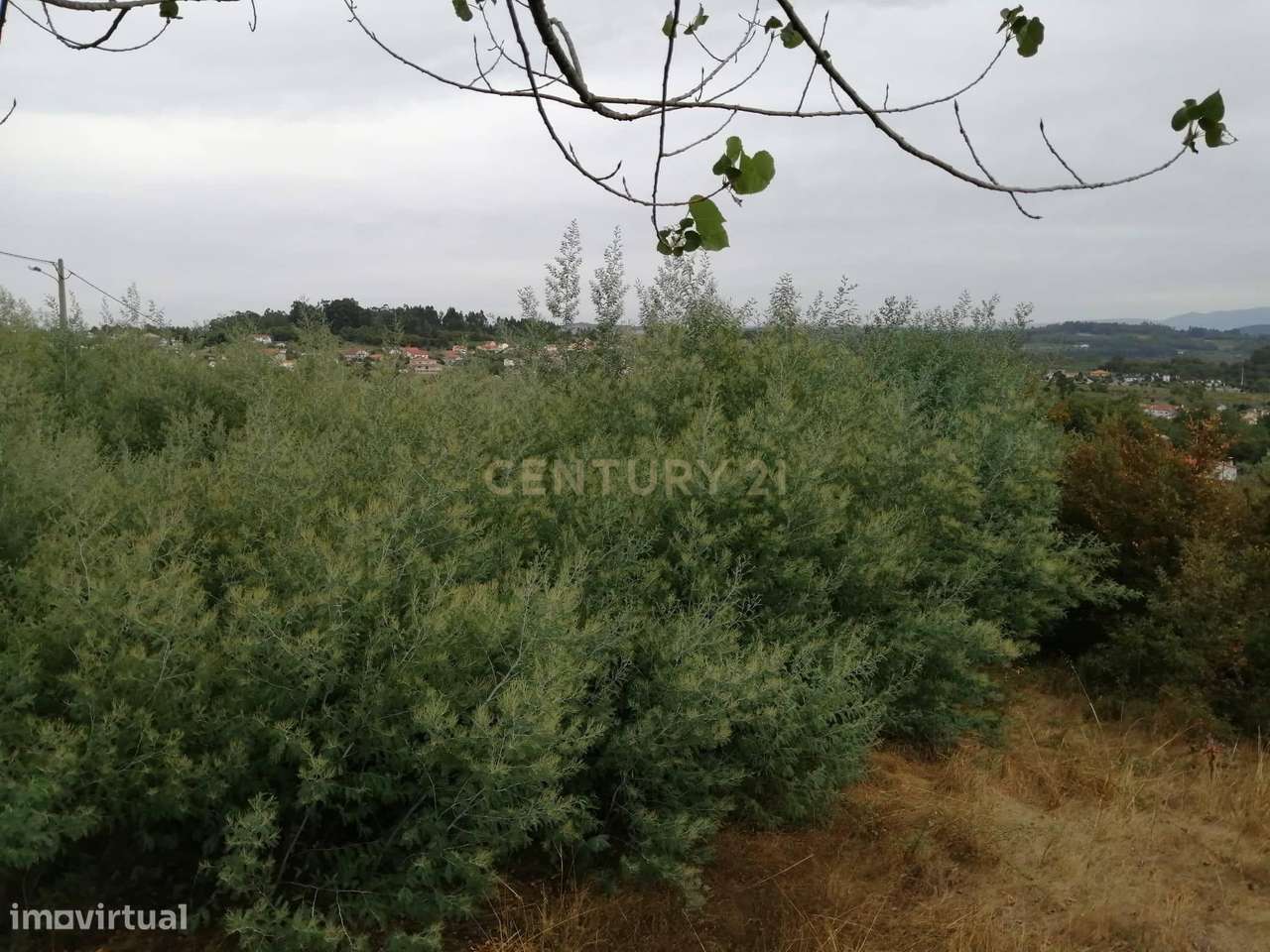 Terreno para construção em Rio de Moinhos - Grande imagem: 4/6