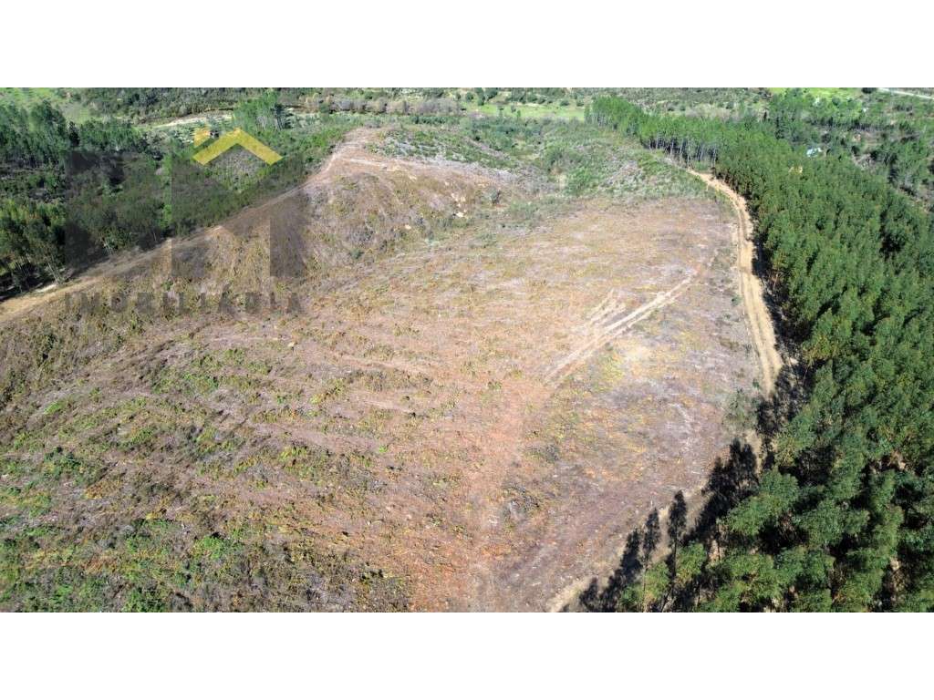 Terreno à venda em São Vicente da Beira! - Grande imagem: 3/6