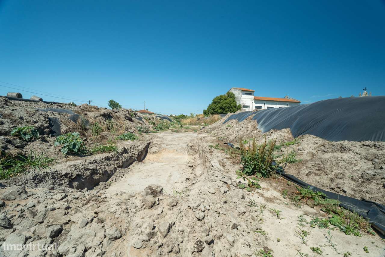 Terreno para venda - Murtosa-6
