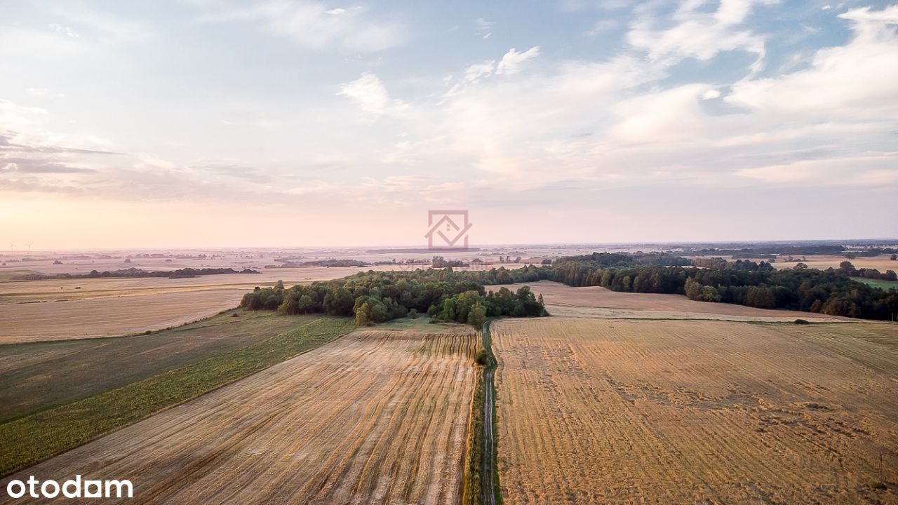 Działki rolno-budowalne w miejscowości Bałtrucie