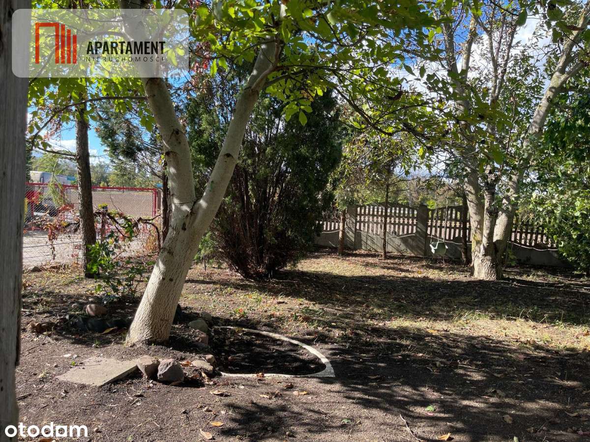 Dom do Remontu lub zamiana - Pełny obrazek: 4/18