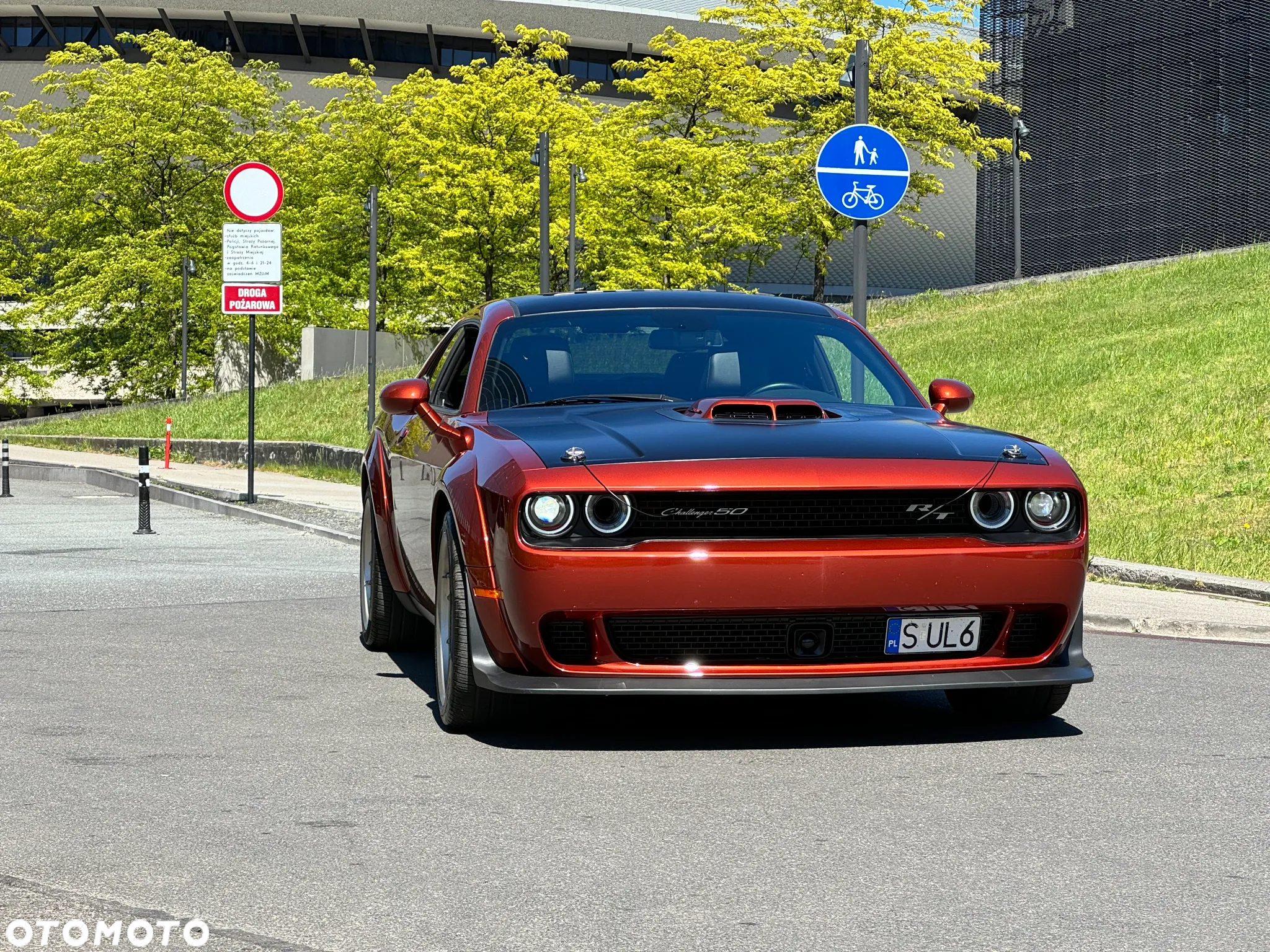 Dodge Challenger Automatik 392 Hemi Scat Pack Shaker - 13