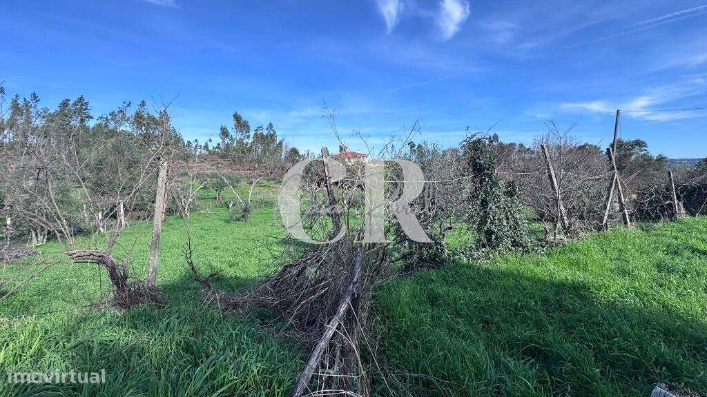 Quinta com casas de pedra para recuperar, poço e furo-18
