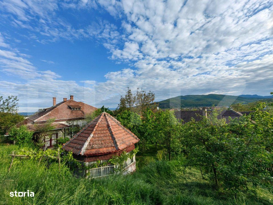 Conac boieresc, 4ha de teren si cladire pretabila pentru Agropensiune,