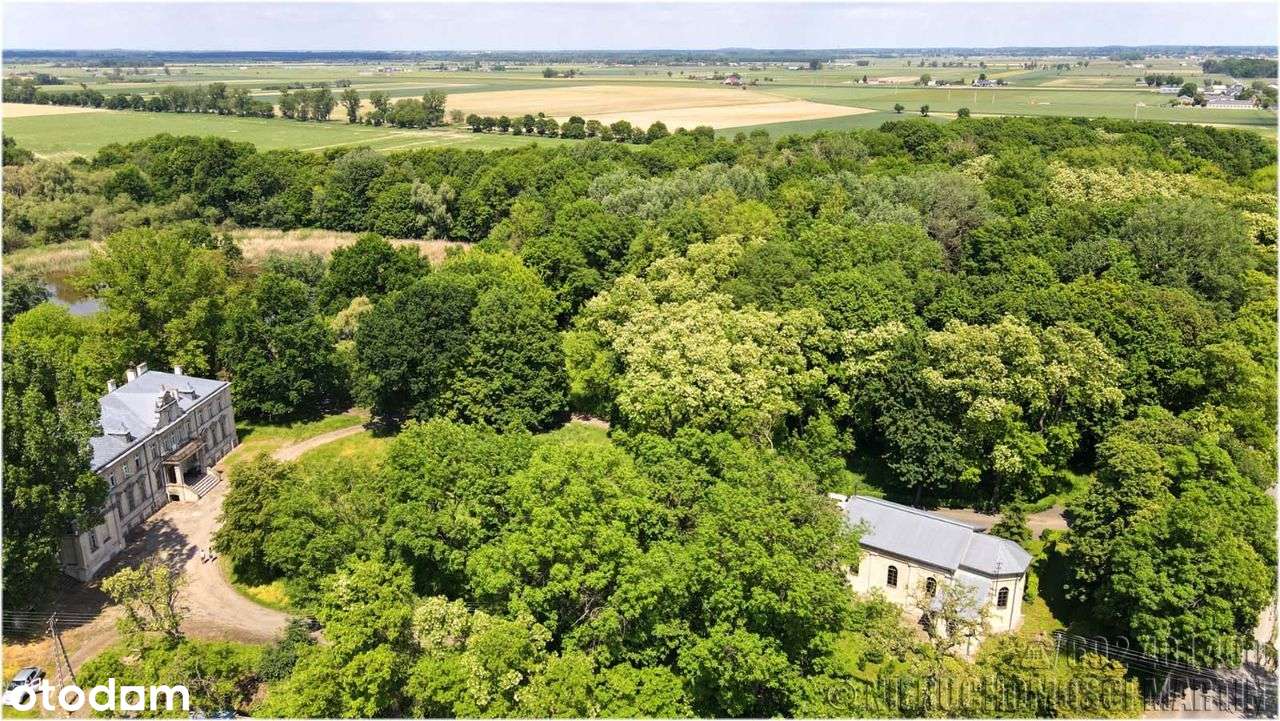 pałac w Niegolewie z parkiem 17 ha w tym rola 6 ha-9