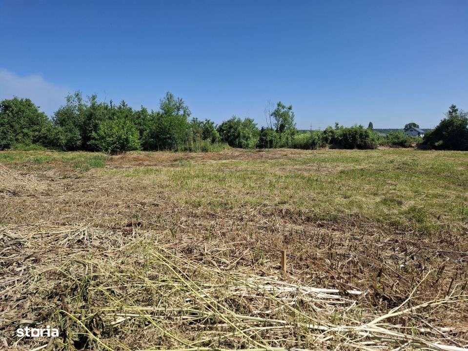 Vanzare teren in Targoviste, zona Iazul Morii-2