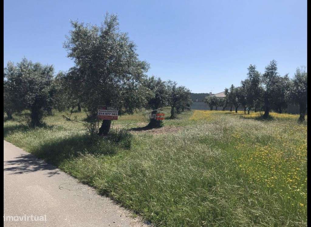 Terreno C/ Possibilidade de Construção - Grande imagem: 4/4