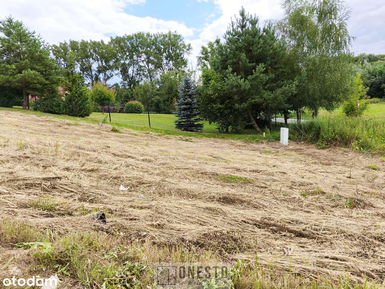 Działka budowlana, jednorodzinna 15a z pięknym widokiem Dąbrowica - Pełny obrazek: 5/9