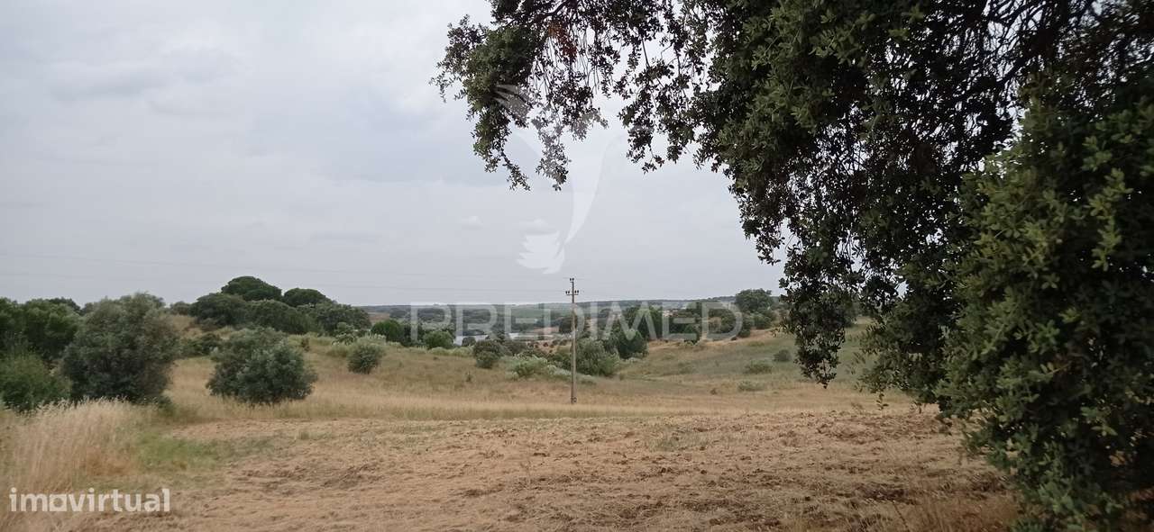 Terreno rústico com viabilidade de construção, Avis - Grande imagem: 5/14