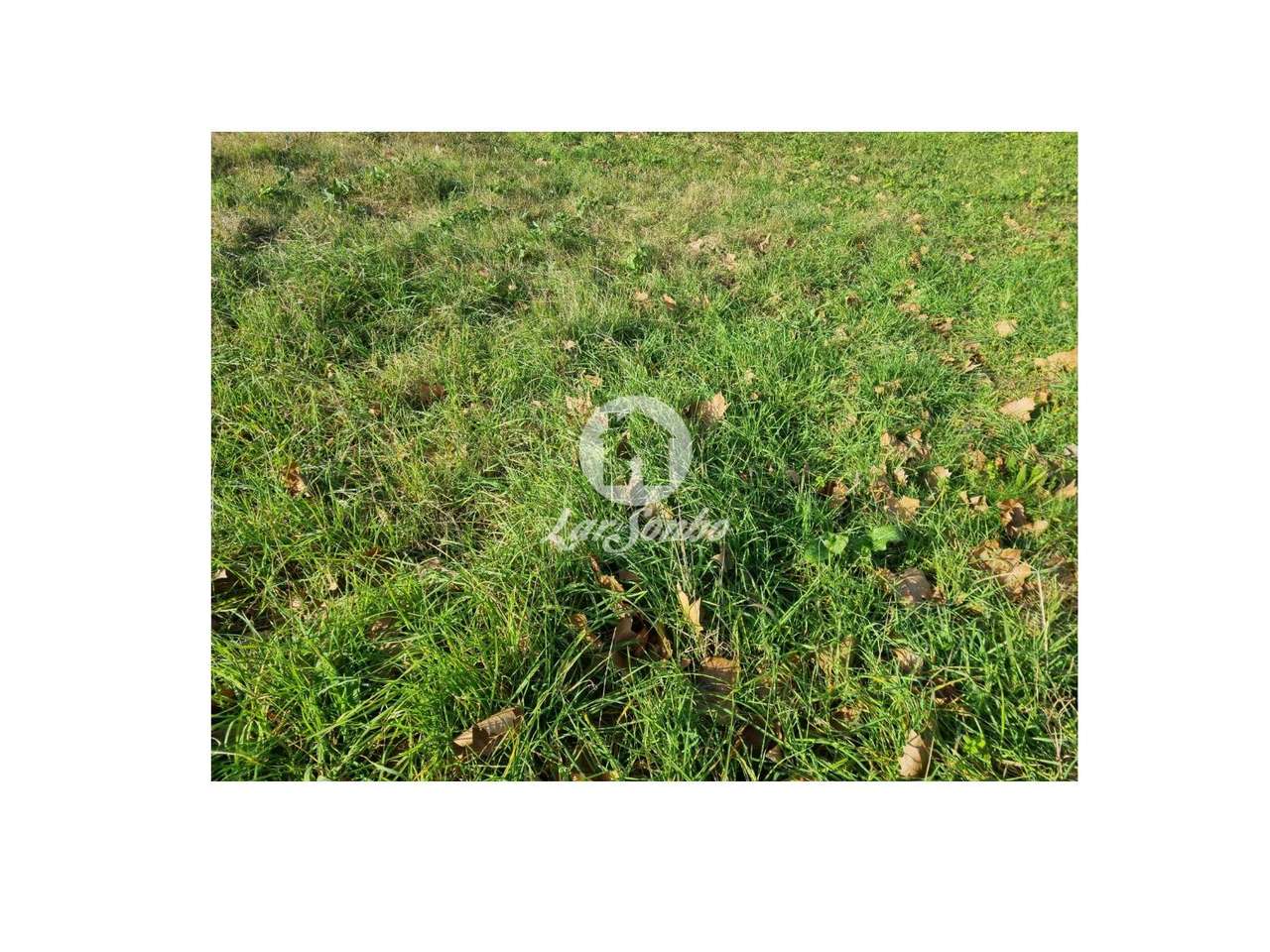 Terreno para construção com 743 m² em Barcelos - Grande imagem: 5/5